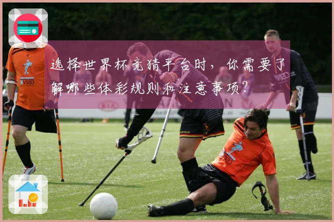 选择世界杯竞猜平台时，你需要了解哪些体彩规则和注意事项？